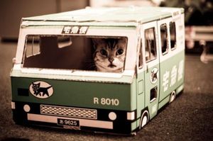 Paper bus cat