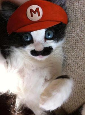 Super Mario Cat