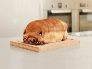 Bread pug